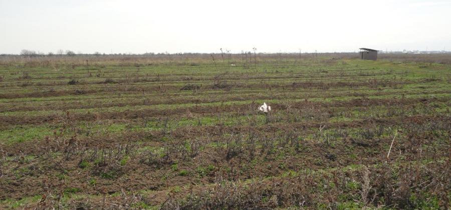 մարզ Արարատ, գյուղ Ոստան